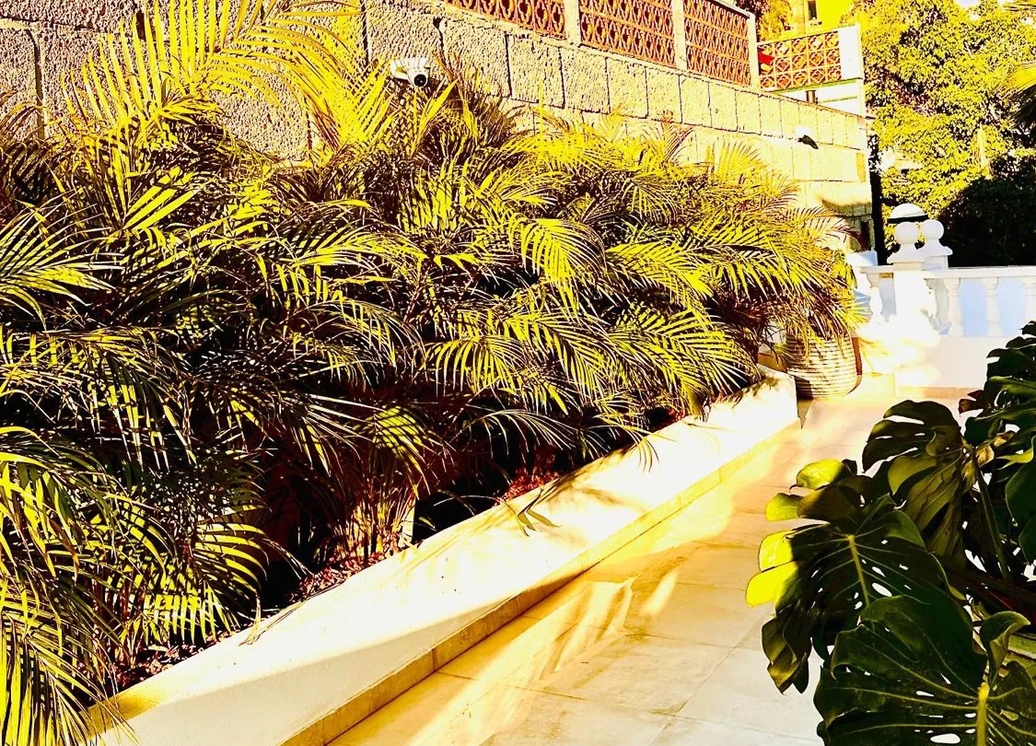 Villa Margarita Costa Adeje   Costa Adeje (Tenerife)